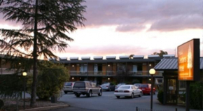 Отель Red Cedars Motel  Канберра